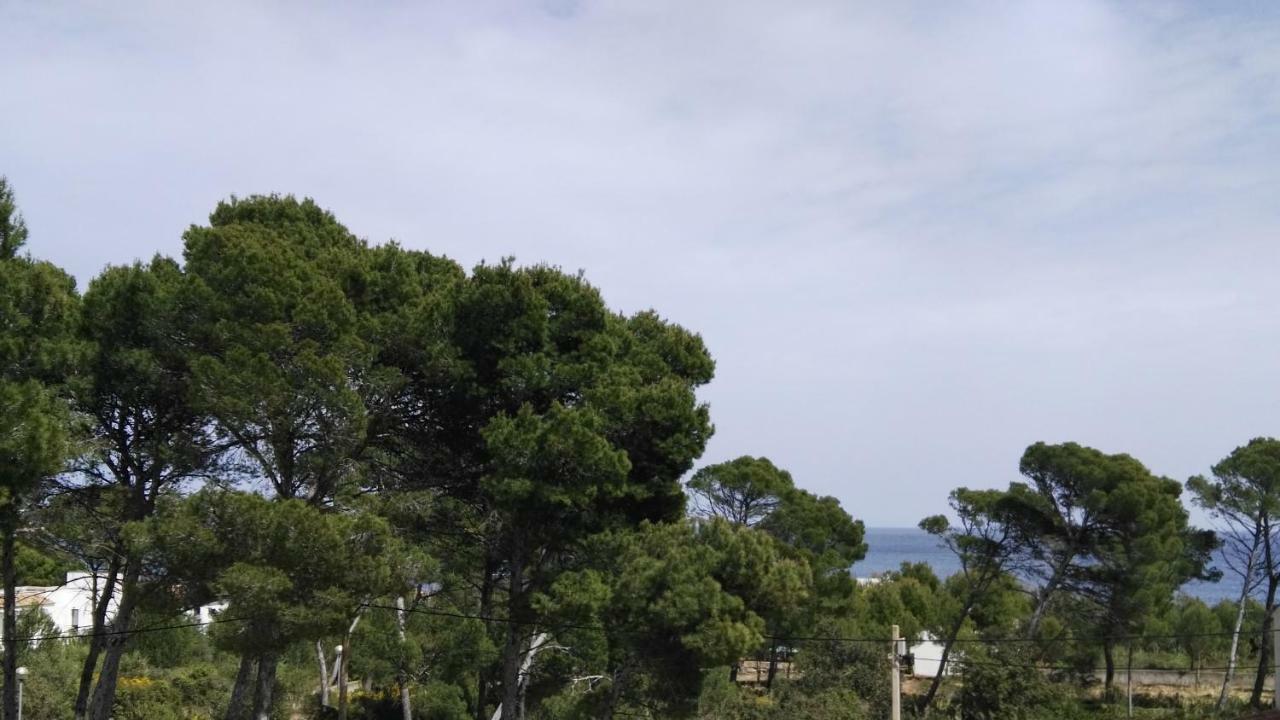 Dream House Villa Cala Ratjada  Bagian luar foto